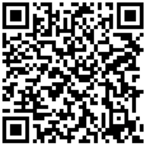 QR code del link al documento di sintesi